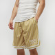 Karl Kani Ανδρικό σορτς Retro Pinstripes Mesh Shorts